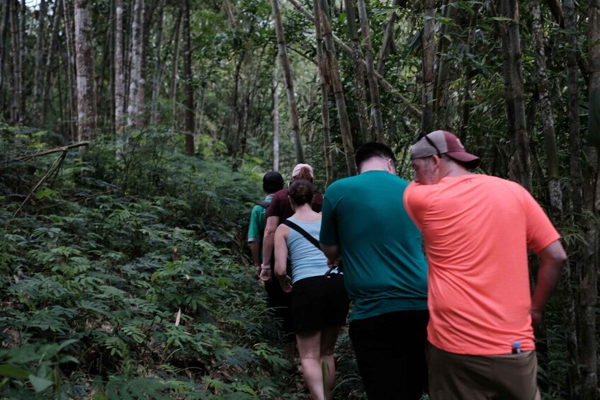 Picture 1 for Activity Mt. Merapi Majesty: Soft Trek and Botanic Village Tour