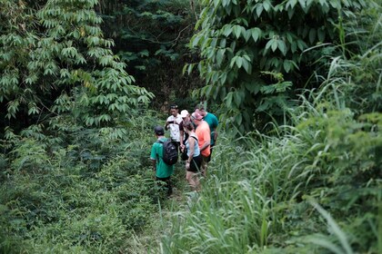 Mt. Merapi Majestät: Soft Trek und Botanic Village Tour