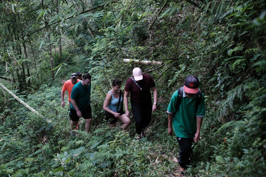 Picture 4 for Activity Mt. Merapi Majesty: Soft Trek and Botanic Village Tour