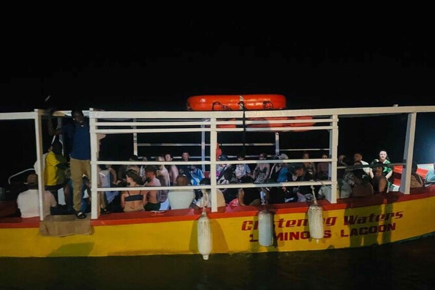 Picture 2 for Activity Montego Bay: Private tour to Luminous Lagoon