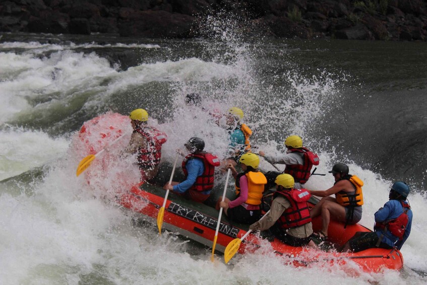 Picture 11 for Activity Victoria Falls Zimbabwe: White Water Rafting Zambezi River