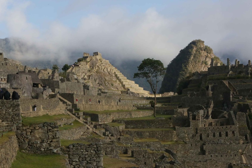 Picture 3 for Activity NEW *Machupicchu Entrance Ticket, Bus & Expert Guide