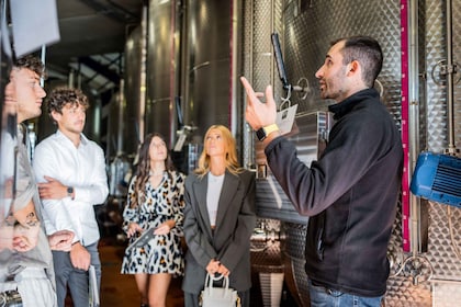 Valdobbiadene Guided tour of the winery & Tasting of 4 Wines