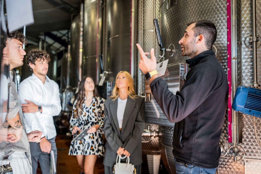 Picture 1 for Activity Valdobbiadene: Prosecco Superiore Wine Trip and Food Tasting