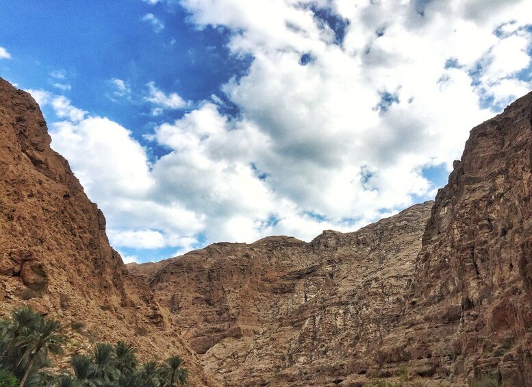 Picture 2 for Activity From Muscat: Wadi Shab and Ras Al Jinz 2-Day Guided Tour