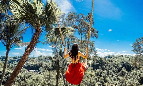 Private Full-Day Tour to the Real Bali Swing and Ubud