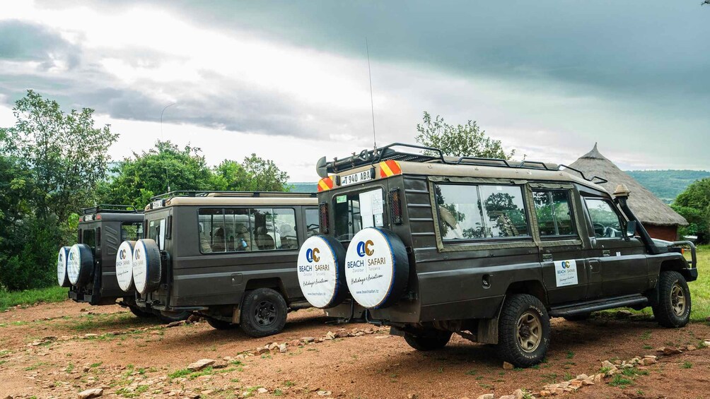 Picture 68 for Activity From Zanzibar: 2-Day Safari Tarangire & Manyara with Flights