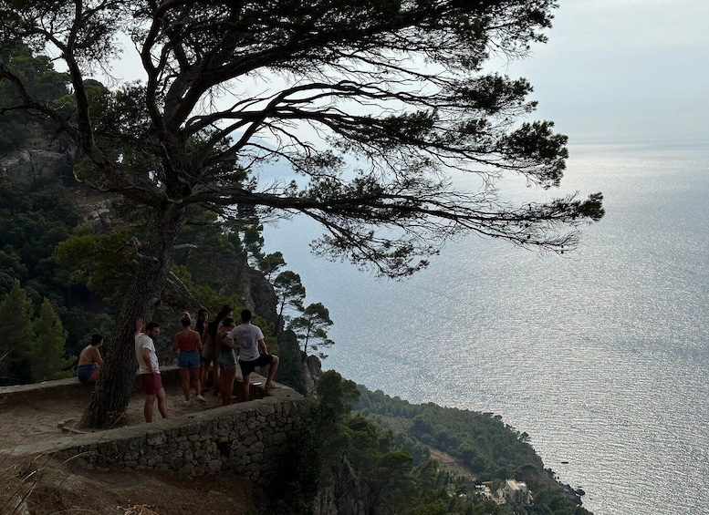 Picture 7 for Activity Palma de Mallorca: North Coast Nature Escape Day Tour