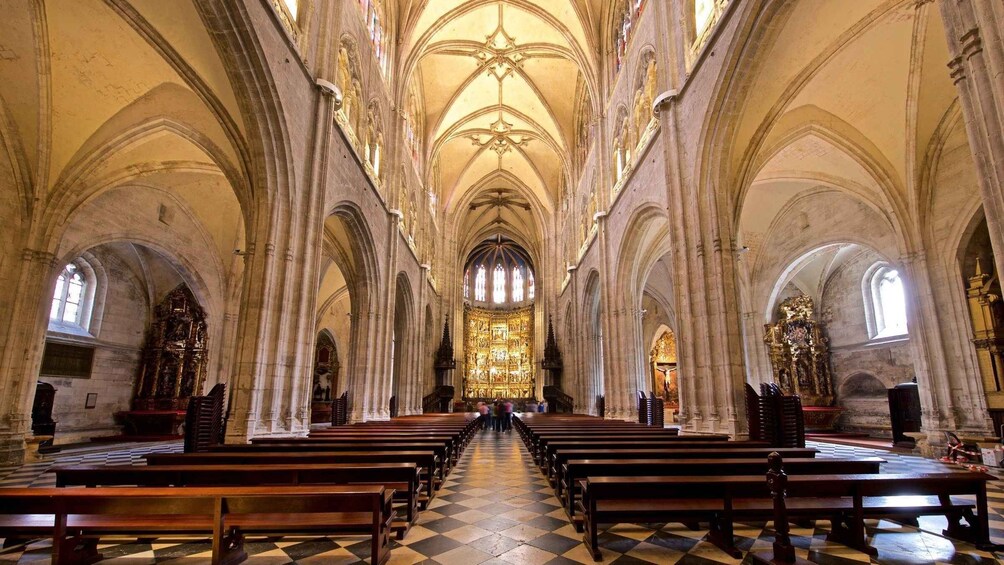 Picture 3 for Activity Oviedo: Cathedral Guided Tour