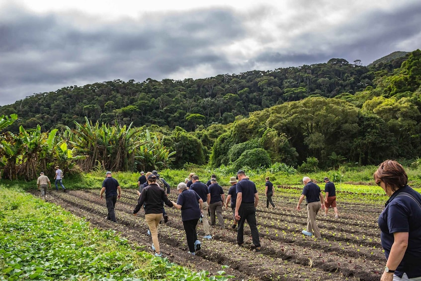 Picture 6 for Activity From Rio: Brejal Countryside Farm and Nature Day Trip