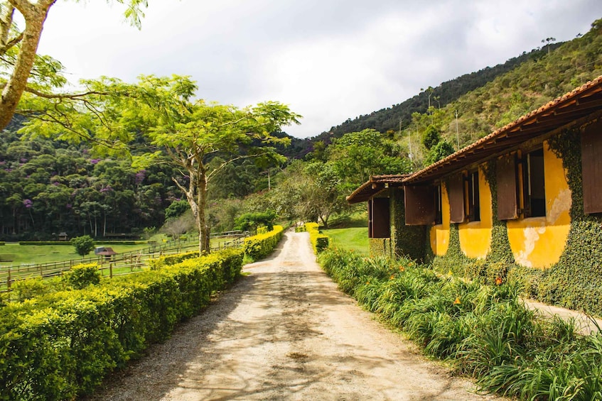 Picture 14 for Activity From Rio: Brejal Countryside Farm and Nature Day Trip