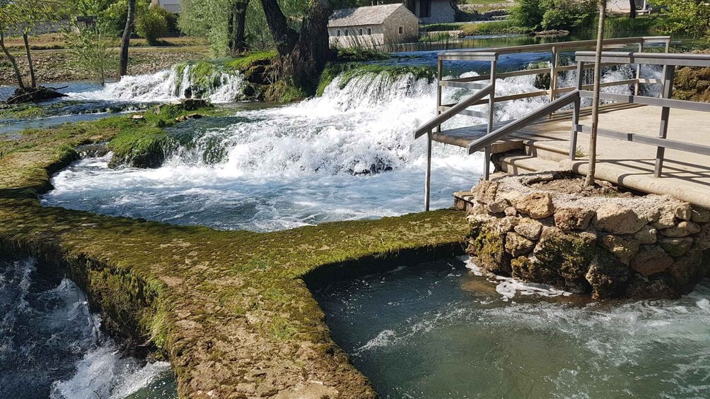 Picture 5 for Activity Authentic Tour Mostar, Medjugorje, Karavice - Farm To Table