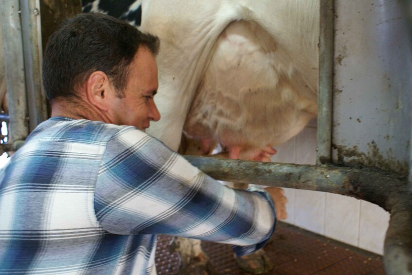 Picture 2 for Activity Azores: Day at the Farm with Outdoor Traditional Lunch