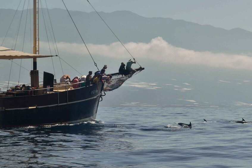 Picture 4 for Activity La Palma: 4-Hour Coastline Cruise with Tapas and Barbecue