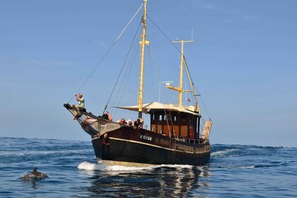 La Palma: Crucero de 4 horas por la costa con tapas y barbacoa