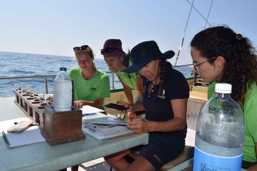 Picture 14 for Activity La Palma: Bussard Premium Tour Marine Biology & Nature