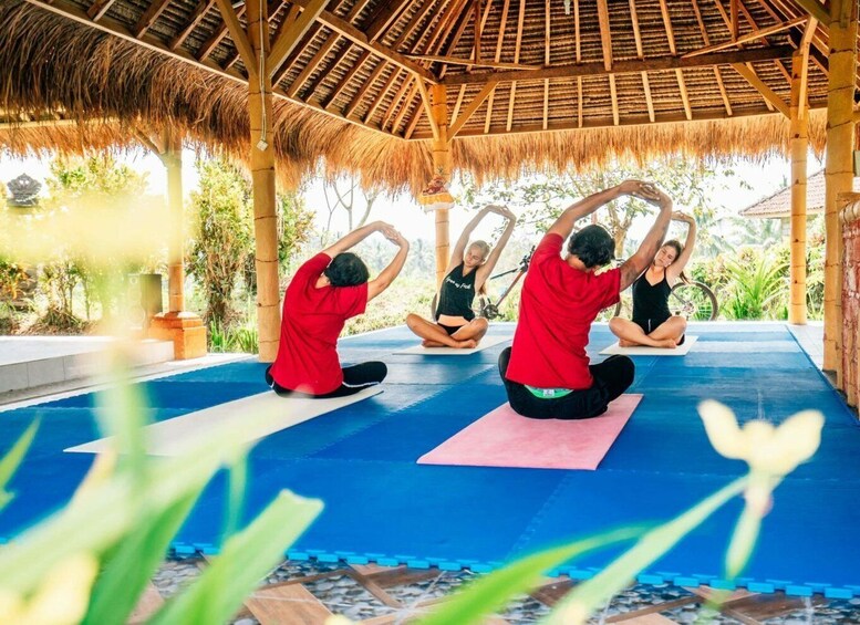 Picture 3 for Activity Ubud: Wellness Retreat with Massage, Yoga Class, and Lunch