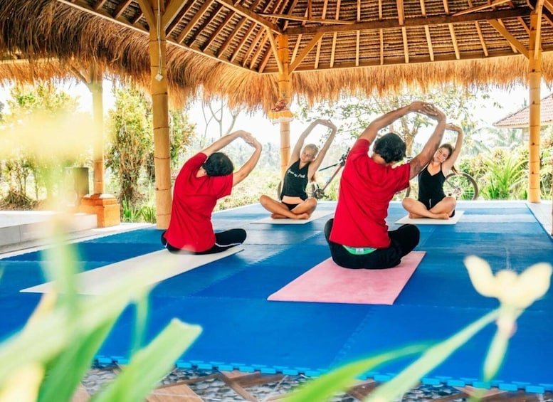 Picture 3 for Activity Ubud: Wellness Retreat with Massage, Yoga Class, and Lunch