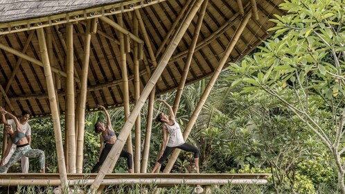 Ubud : retraite de bien-être avec massage, cours de yoga et déjeuner