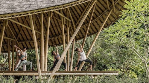 Ubud: Wellness Retreat hieronnalla, joogatunnilla ja lounaalla