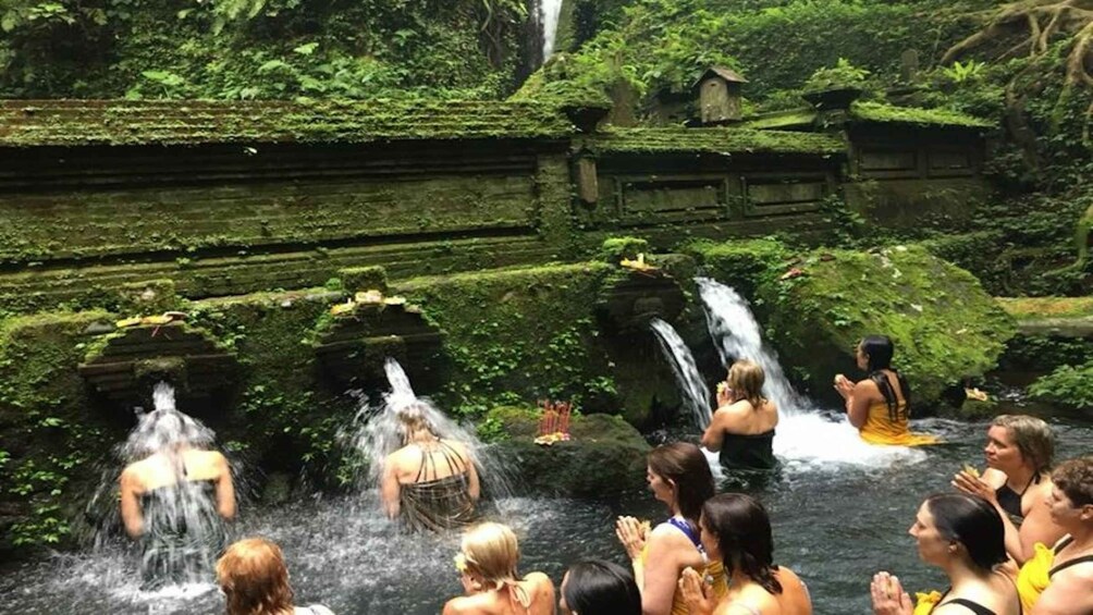 Picture 1 for Activity Ubud: Wellness Retreat with Massage, Yoga Class, and Lunch