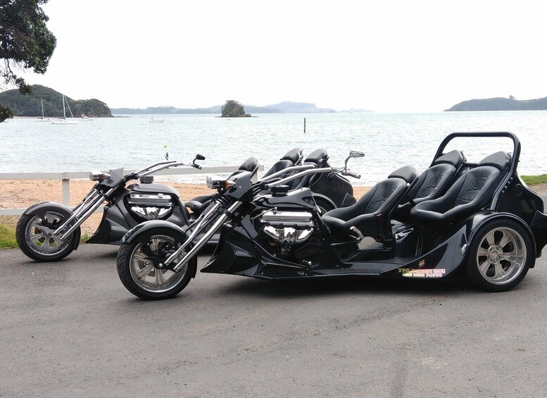 Picture 2 for Activity Paihia: Bay of Islands Trike Tour Experience