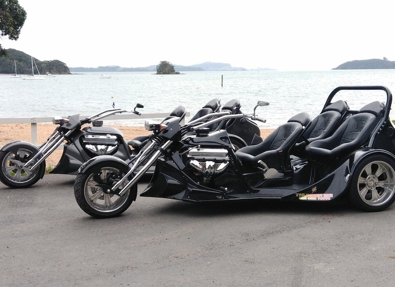Picture 2 for Activity Paihia: Bay of Islands Trike Tour Experience