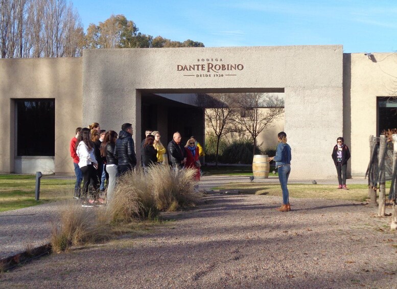 Picture 1 for Activity Mendoza: Half-Day Wine Tour with Tastings