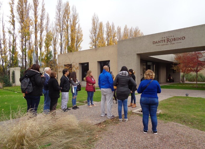 Picture 3 for Activity Mendoza: Half-Day Wine Tour with Tastings