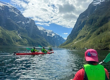 Nærøyfjord Full-Day Guided Kayaking Trip