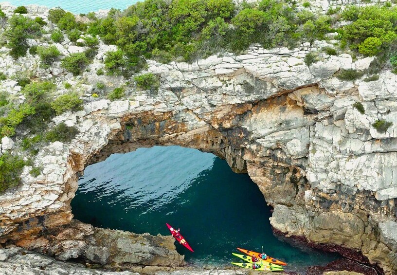 Picture 2 for Activity From Dubrovnik: Elaphiti Islands Kayaking and Cycling Tour