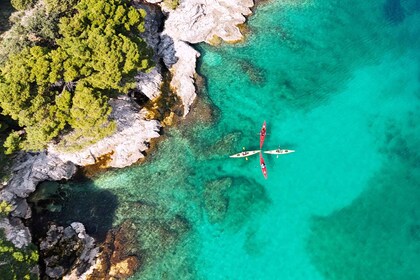 Desde Dubrovnik: Excursión en Kayak y en Bicicleta por las Islas Elaphiti