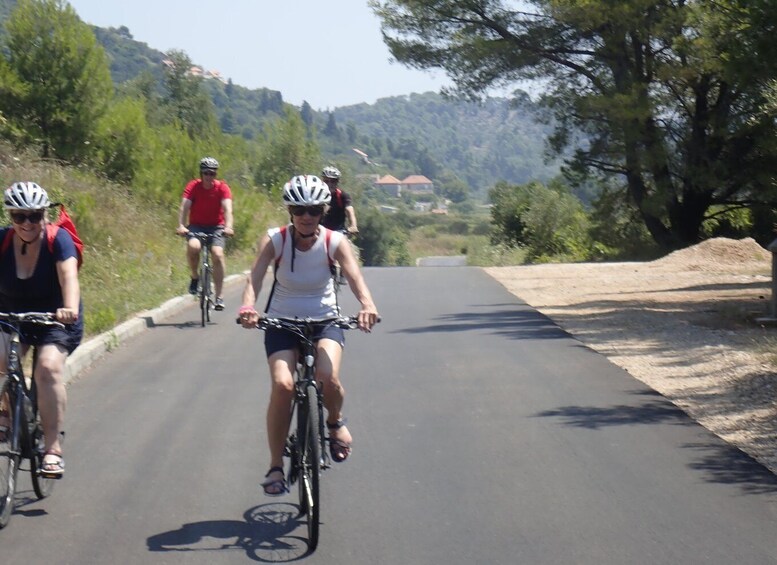 Picture 4 for Activity From Dubrovnik: Elaphiti Islands Kayaking and Cycling Tour