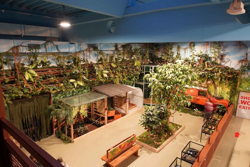 Picture 14 for Activity Prague: Chocotopia Chocolate Factory Tour Ticket + Workshop