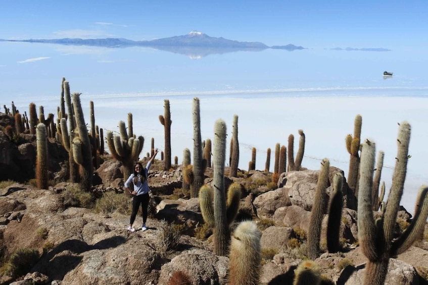 Picture 5 for Activity From Atacama | Uyuni salt flat 4 days the largest salt flat