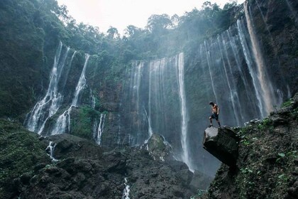 From Malang: Tour To Tumpaksewu Bromo Ijen