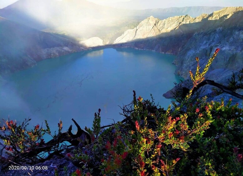 Picture 4 for Activity From Malang: Tour To Tumpaksewu Bromo Ijen