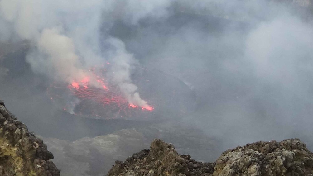 Picture 14 for Activity 4 Day Congo (DRC) Gorilla Trekking & Nyiragongo Hiking