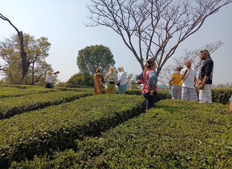 Picture 11 for Activity Private 6 hrs Mcleodganj & Dharamshala City Tour