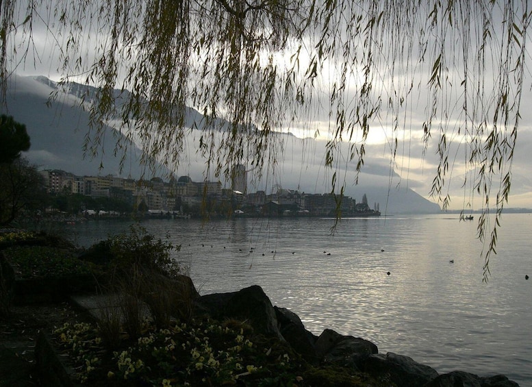 Picture 2 for Activity Montreux Private Walking Tour
