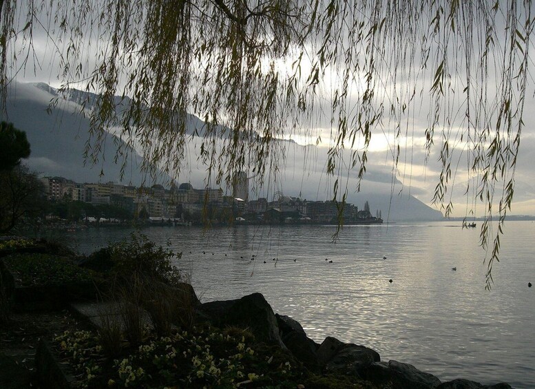 Picture 2 for Activity Montreux Private Walking Tour