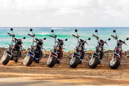 Tur Skuter Roda Besar Listrik di Pantai dan Jalan Raya