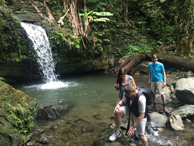 Group crossing river in El Yunque Rainforest in Puerto Rico