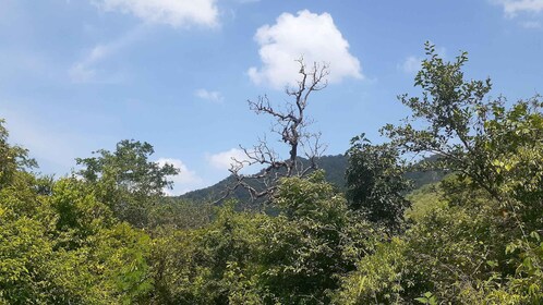 Countryside Arawali Hills Hiking Tour