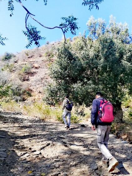 Picture 5 for Activity Countryside Arawali Hills Hiking Tour