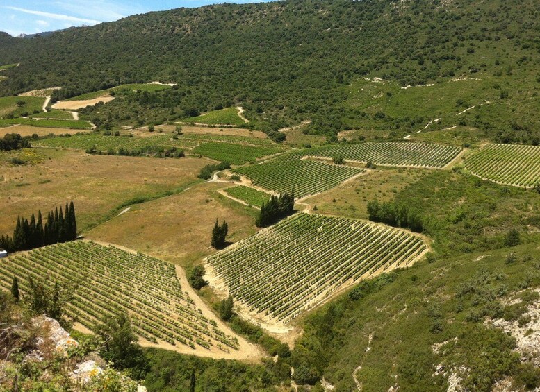 Picture 2 for Activity Cathar Castles: Quéribus and Peyrepertuse