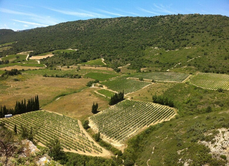 Picture 2 for Activity Cathar Castles: Quéribus and Peyrepertuse