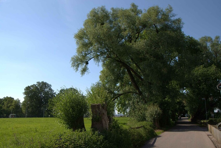 Picture 1 for Activity Bregenz - Historic Guided walking tour