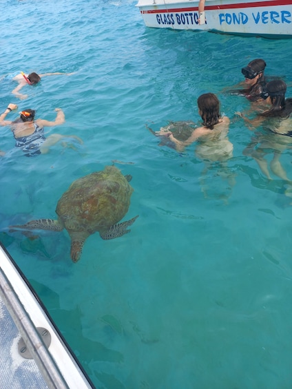 Picture 1 for Activity Mauritius: Snorkeling with turtles Le Transporteur speedboat