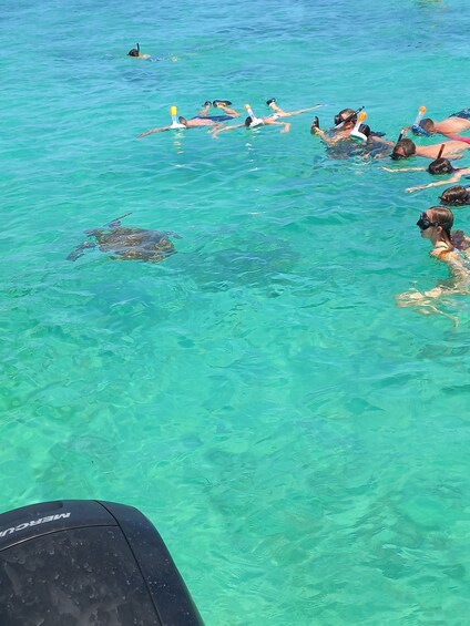 Picture 2 for Activity Mauritius: Snorkeling with turtles Le Transporteur speedboat